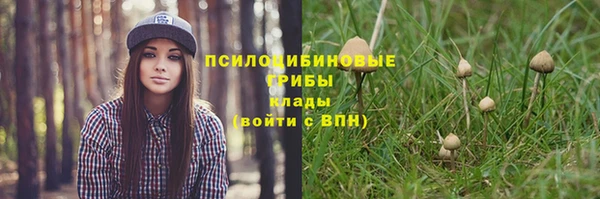 кристаллы Абаза