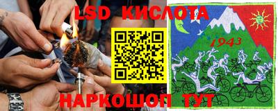 PSILOCYBIN Можга