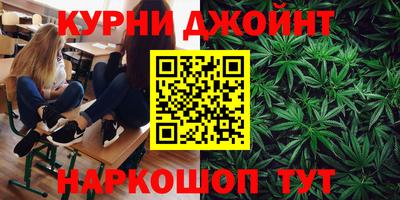 прущие крисы Моздок