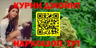 PSILOCYBIN Можга
