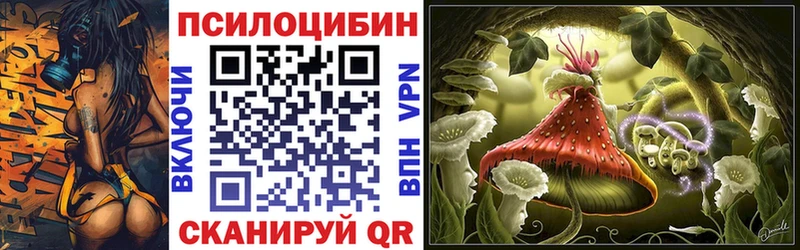 kraken зеркало  Ялуторовск  Псилоцибиновые грибы мухоморы 